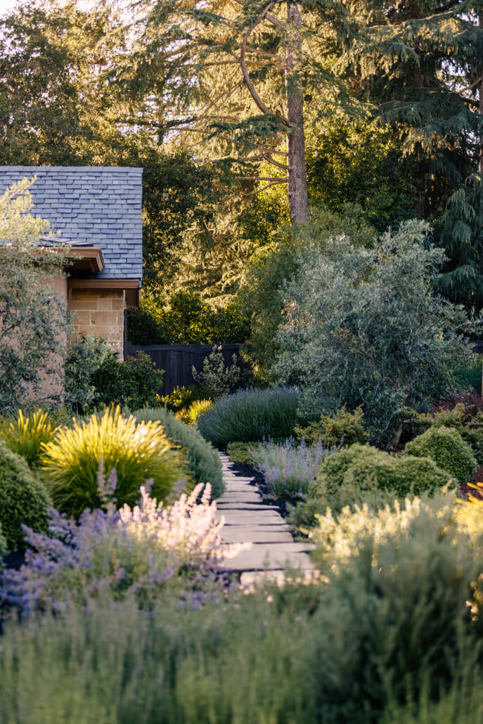 Stone pathway surrounded by lush green bushes and flowering plants leading to a house partially visible with a slate roof.