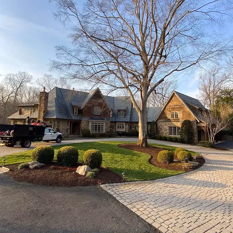 Professional lawn fertilization and weed control by Greener Lawn Maintenance LLC in Arlington for a vibrant, healthier lawn.