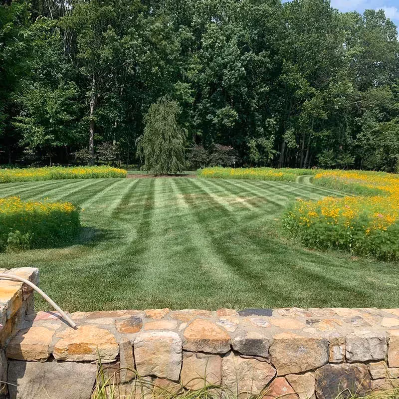 Precision mowing by Greener Lawn Maintenance LLC, showcasing a perfectly striped lawn in Arlington, Virginia.
