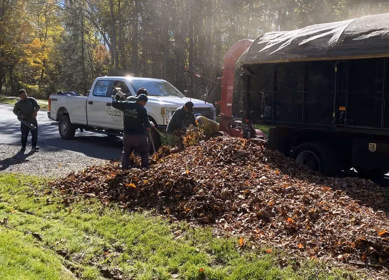 Professional lawn fertilization and weed control by Greener Lawn Maintenance LLC in Arlington for a vibrant, healthier lawn.