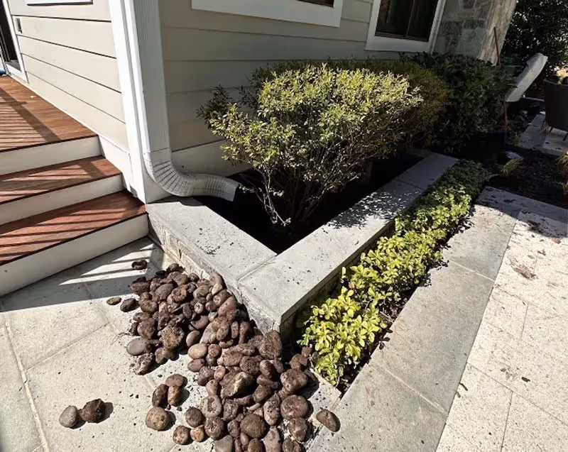 Best plan for a healthier lawn and planters to recollect storm water in West Virginia.