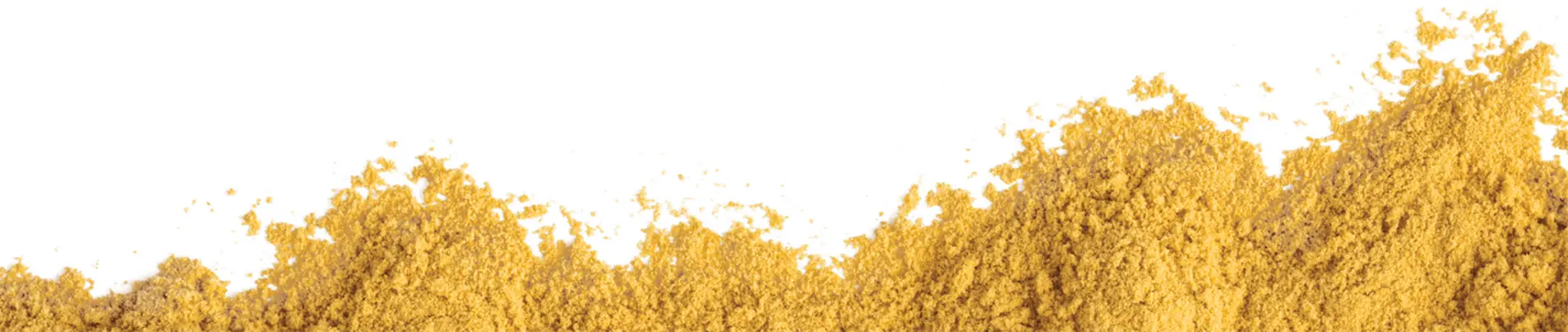 Corn Fermented Protein