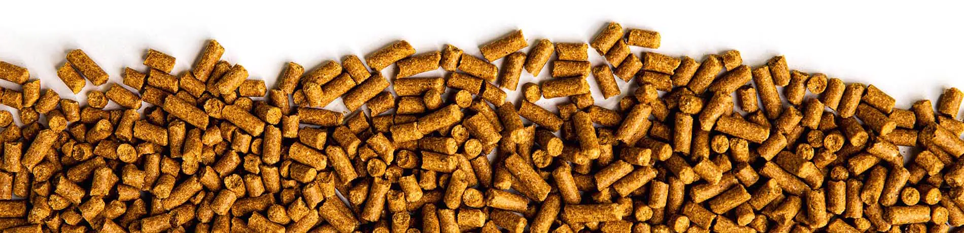 Pellets & Cubes