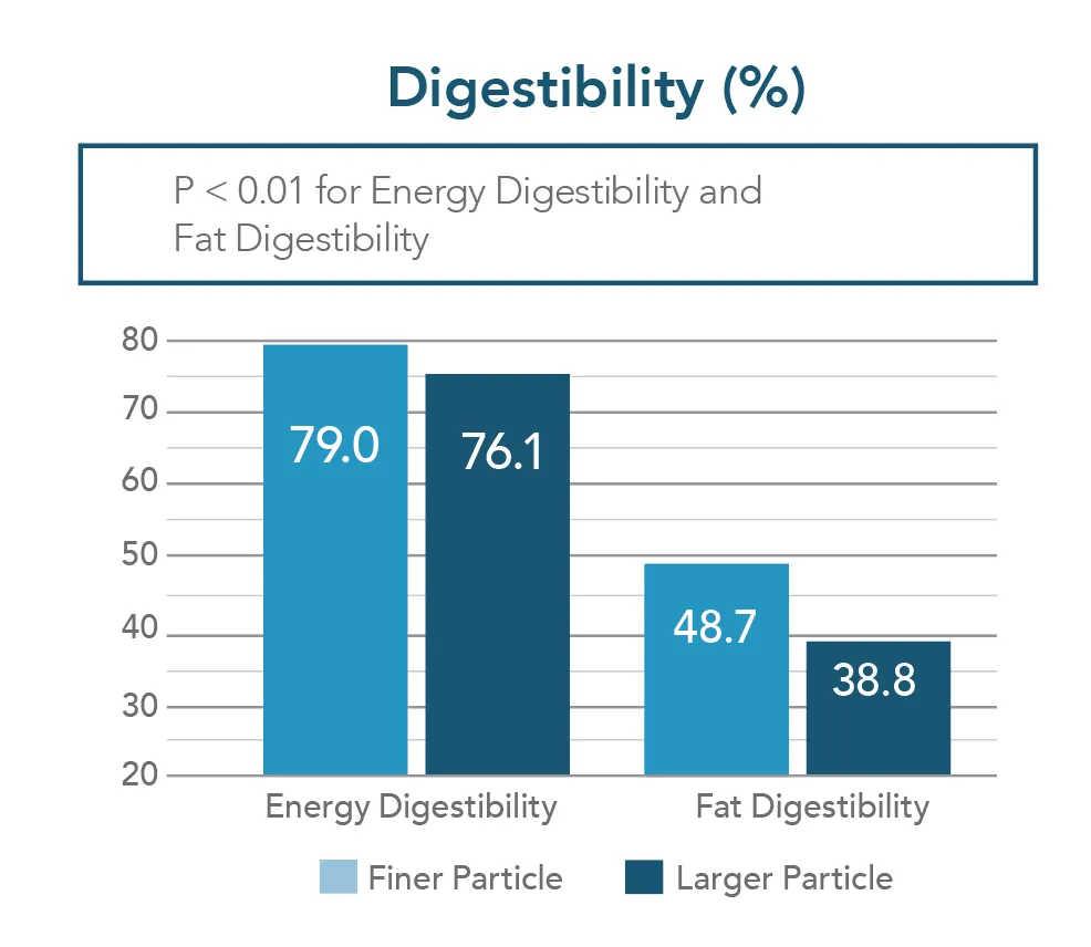 Energy and fat digestibility by particle size