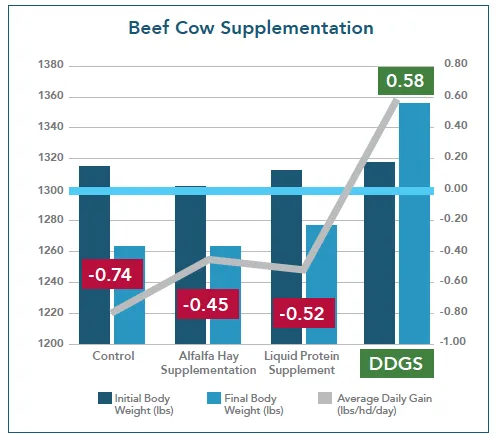 Beef cow supplementation chart