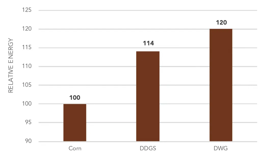 Relative energy: Corn 100, DDGS 114, DWG 120
