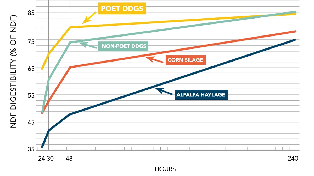 NDF digestibility curves for DDGS, silage, haylage