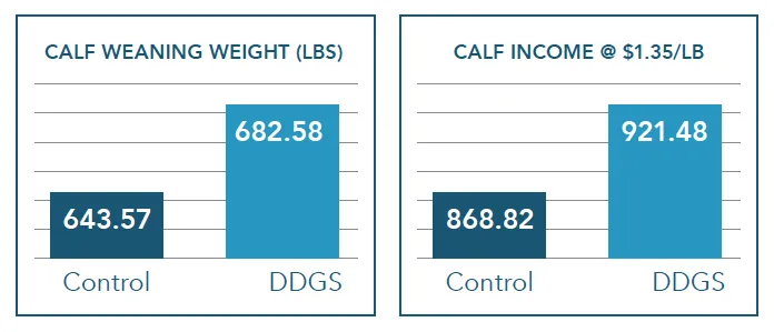 Calf weaning weight and income: DDGS vs Control chart