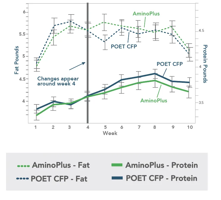 Milk fat and protein yield for cows fed POET CFP or a rumen-protected soy protein chart