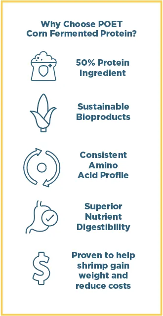 Why choose POET corn fermented protein ?