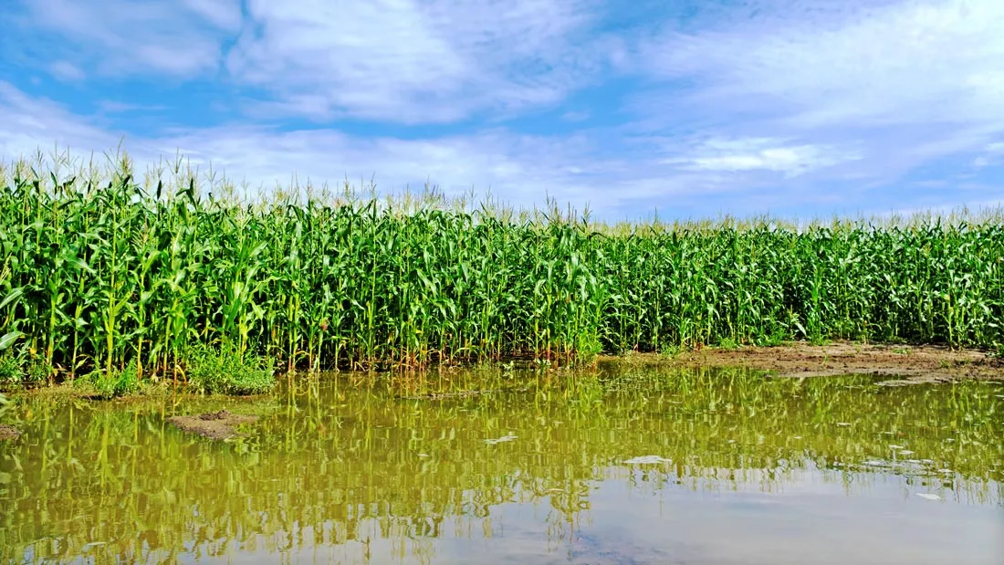 2019 was a historic year for flooding in the Midwest.