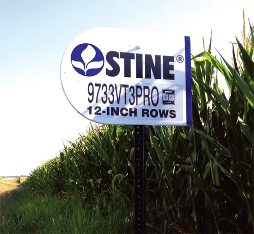 Stine sign by a corn farm