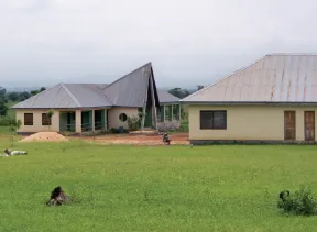 Rural houses with metal roofs on green field