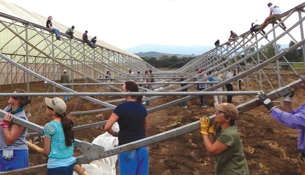Workers assemble greenhouse frame