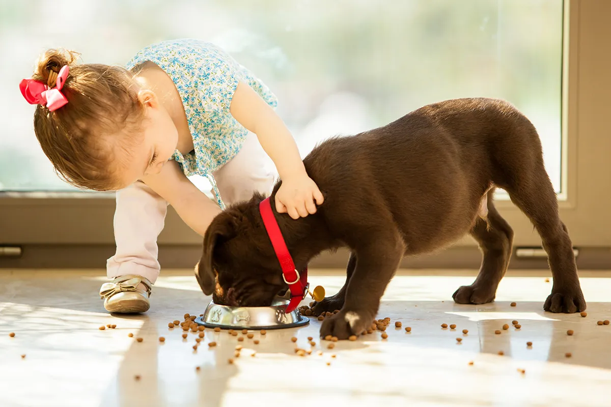 Puppy eats from a bowl as girl leans over.