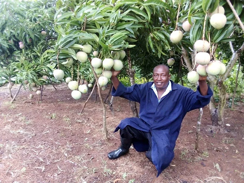 Joseph sitting under a mango tree and holding mangos