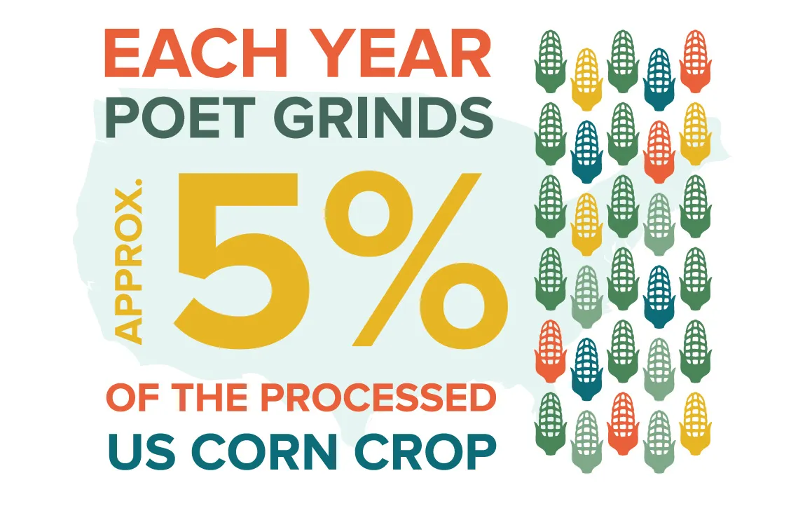 Bright poster shows 'EACH YEAR POET GRINDS' with a large yellow 5% and a right column of multicolored corn cob icons.