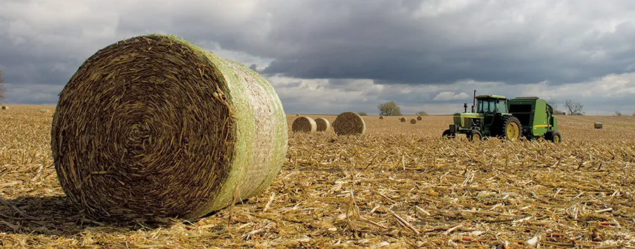 Large round hay bale in field with tractor.