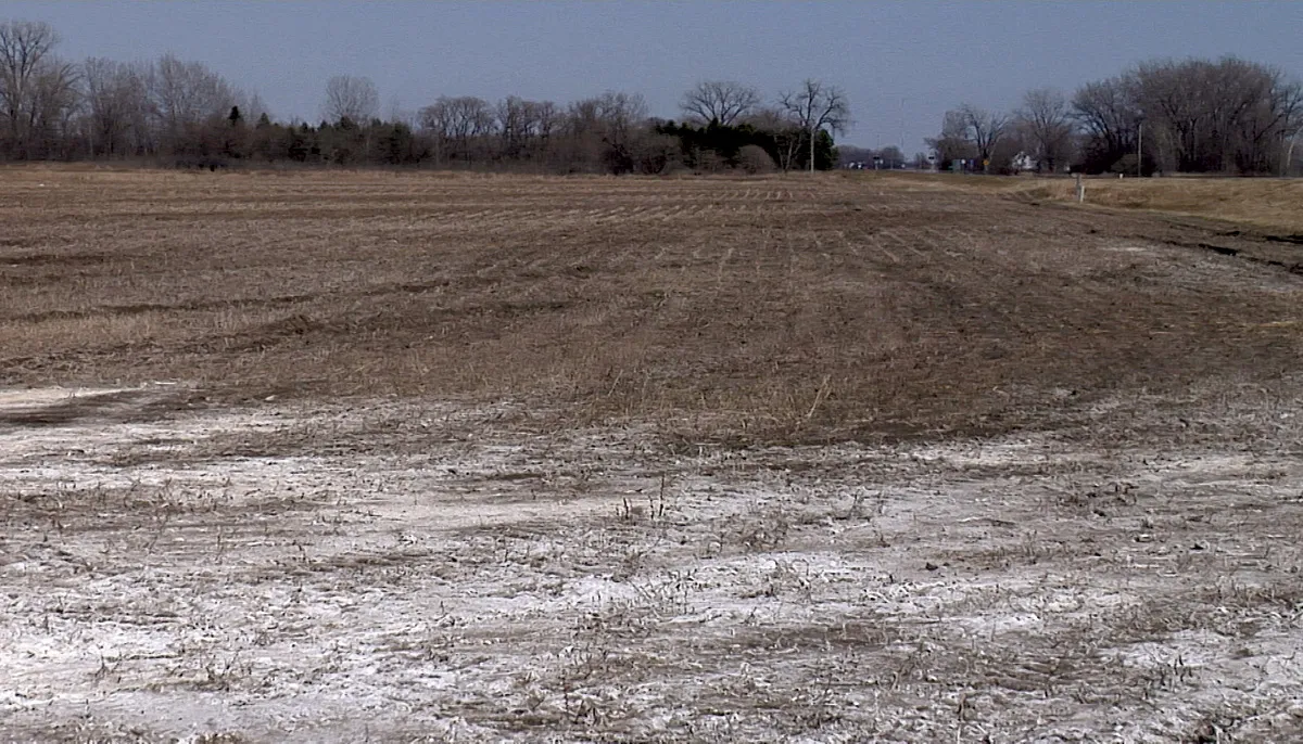 Barren field with white ground, distant trees.