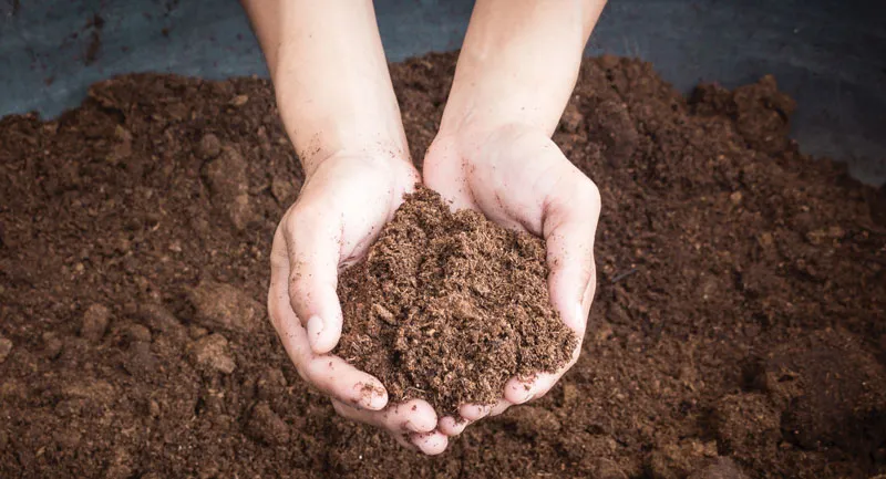 Hands holding soil