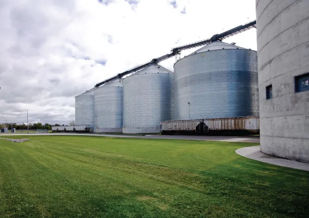 Row of grain silos with rail cars.