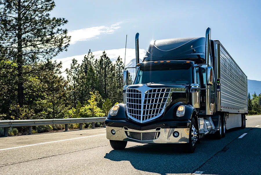 A black truck on the road