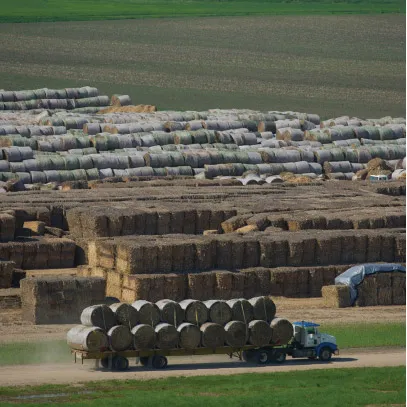 Biomass stackyard