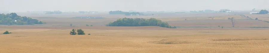 Golden farmland stretches to distant trees.
