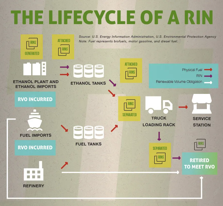 The lifecycle of a RIN
