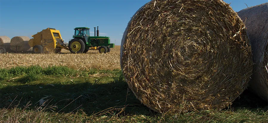 Bailing hay