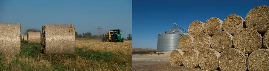 Hay bales in a field and stacked near a silo.