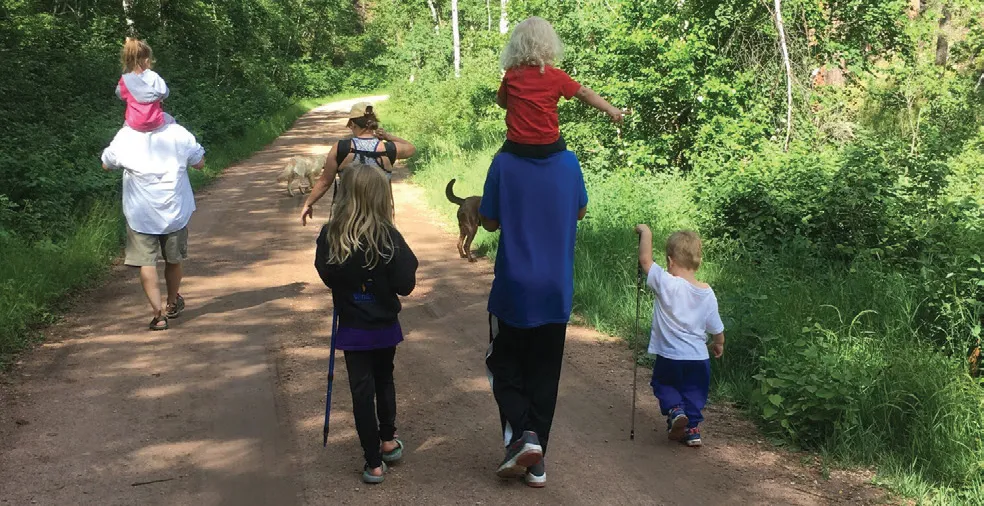 Group walking along forest trail