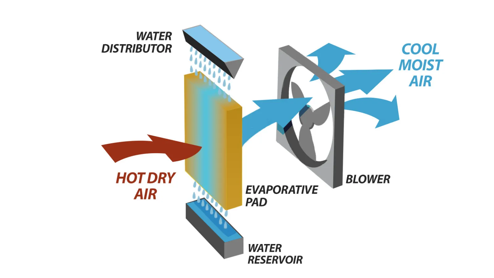 Diagram showing hot dry air passing through water-soaked evaporative pad to create cool moist air by blower.