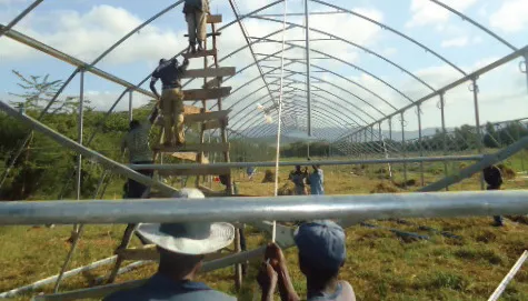 An existing greenhouse at Travellers’ Oasis Centre