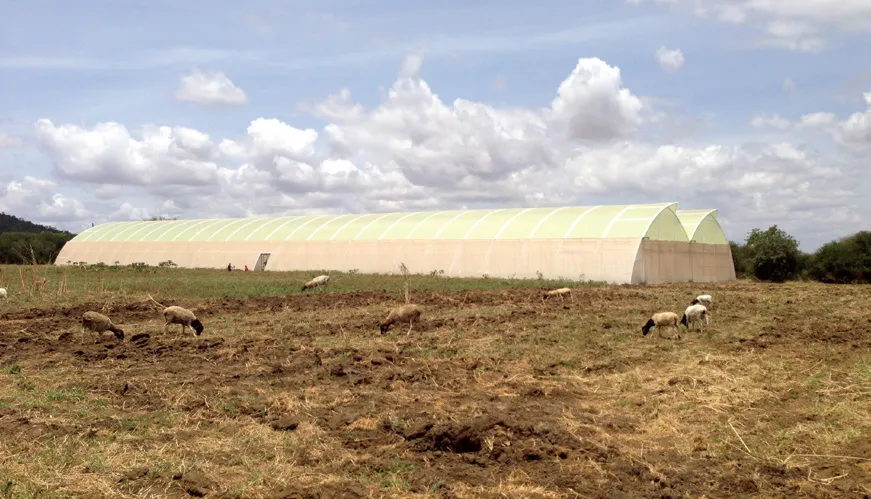 An existing greenhouse at Travellers’ Oasis Centre