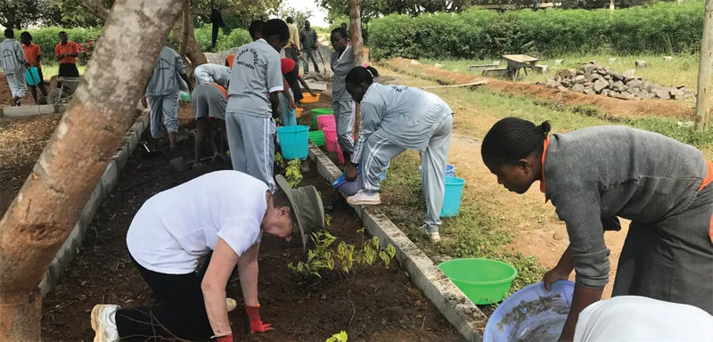 A group of people gardening