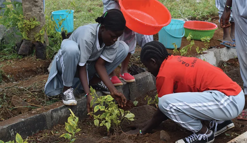 Two people planting a young plant together in soil