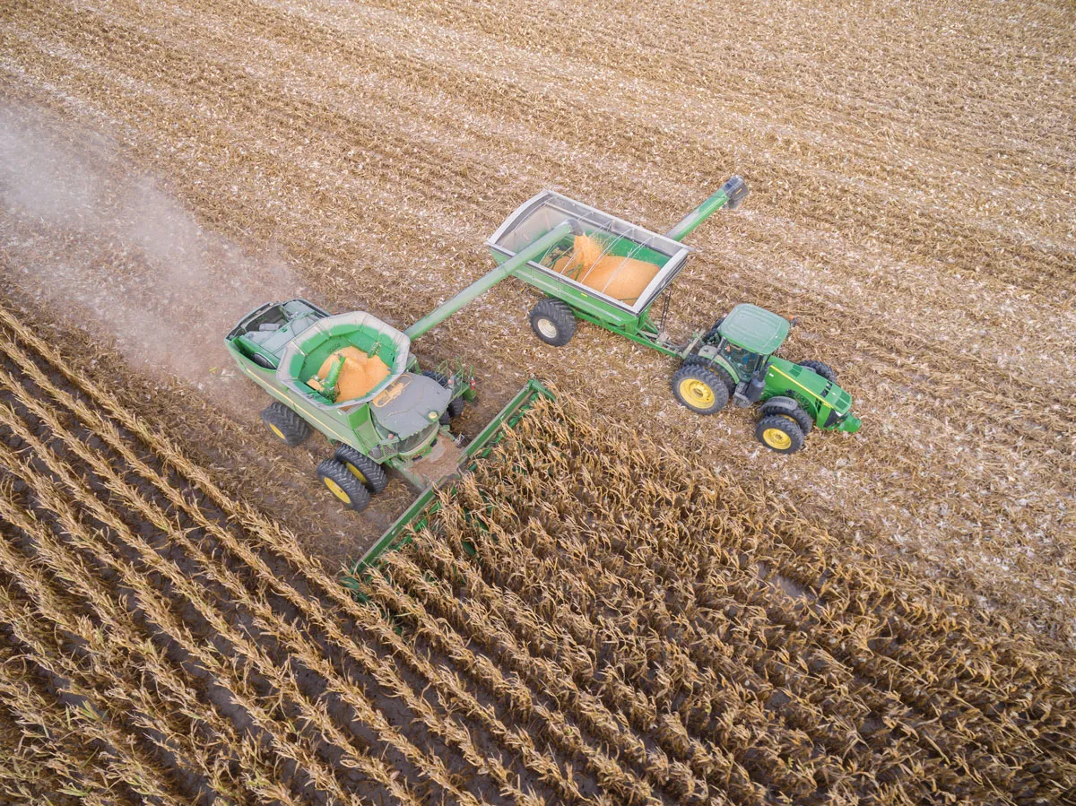 A combine with grain cart in cornfield