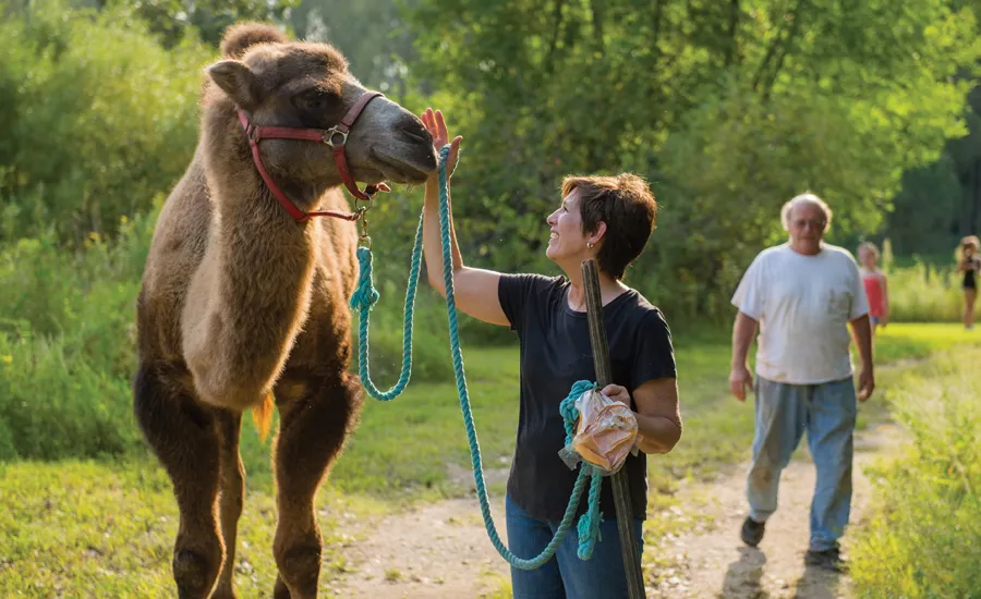 Colleen holding a camel’s rope and touching the camel with her other hand