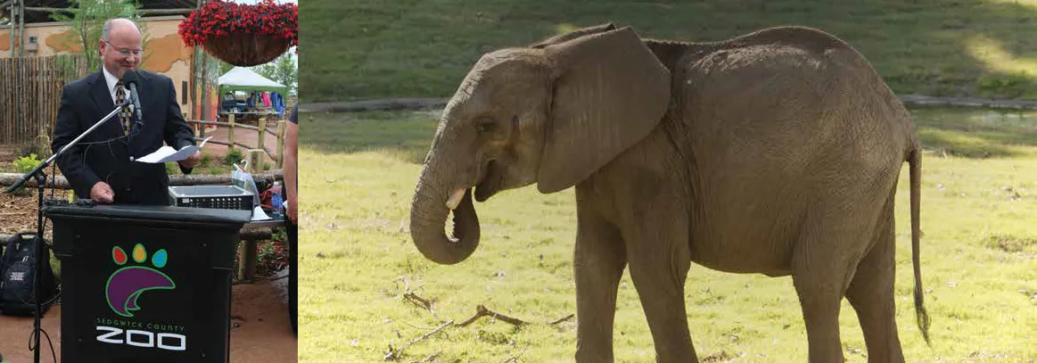Marks having a speech on the left; An elephant on the right