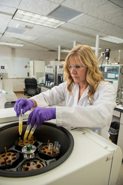 Gwen working in a lab