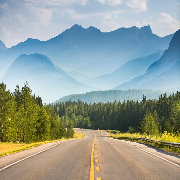 Winding road through forest toward mountains