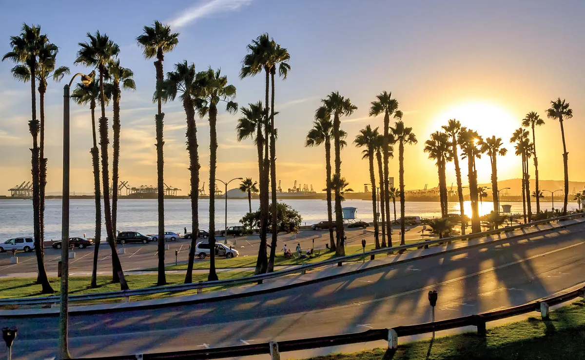 Sunset over palm trees along waterfront road