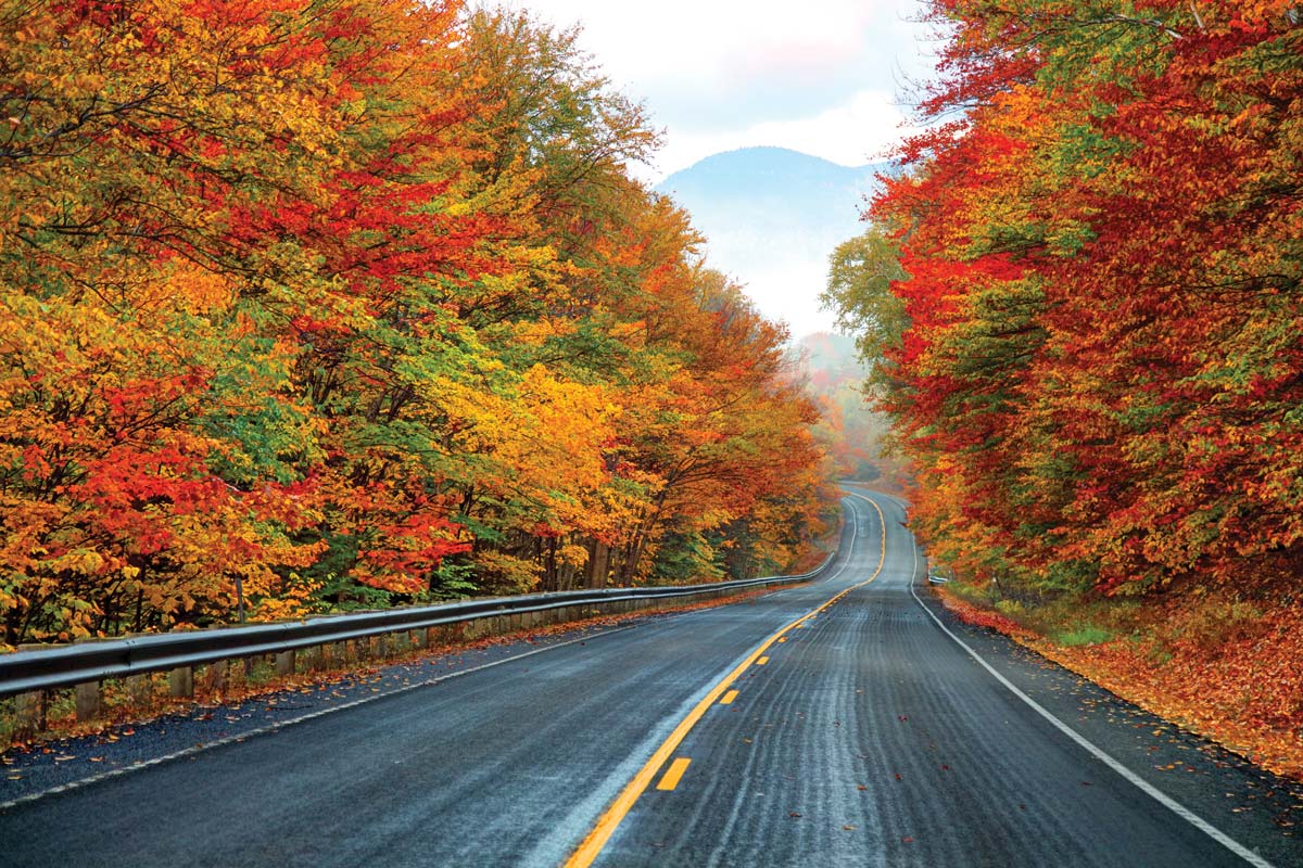 Road winds through autumn forest