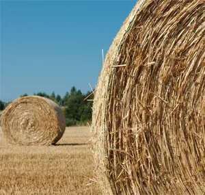 A large hay bale dominates the field foreground