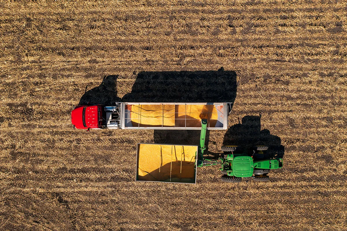 Green tractor unloads grain into trailer