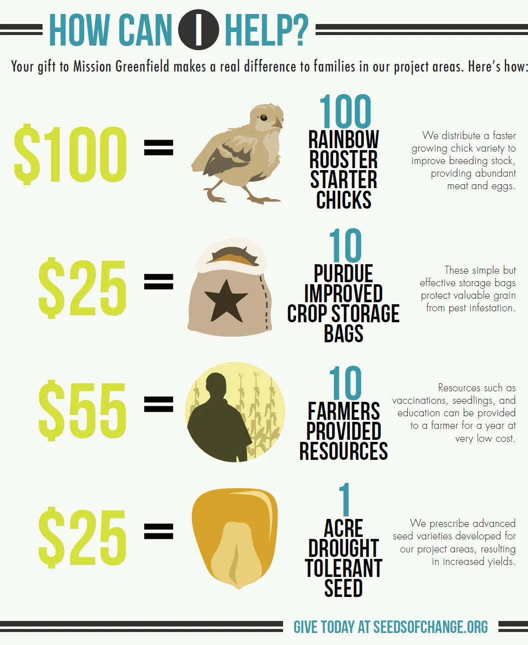 Money funds farm resources: chicks, bags, seeds