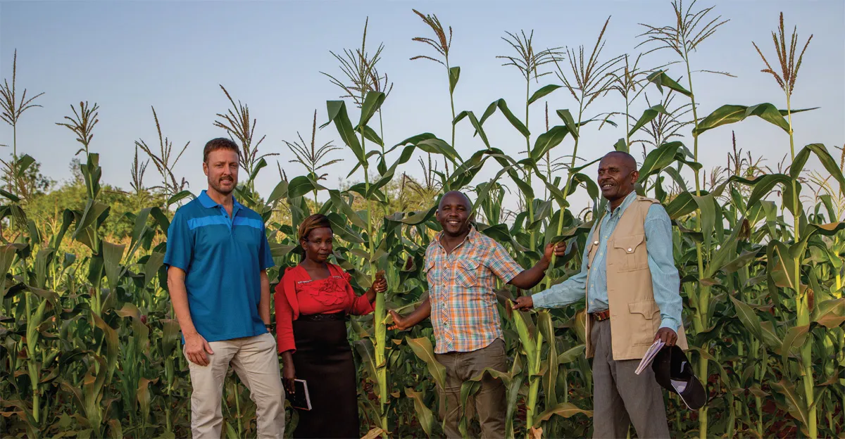 Martin Kawuei, who farms in Kisovo village in Machakos County, shows his well-performing crop to Jeff Broin and two local farmers, Domitila Nduku and Dominic Makau.