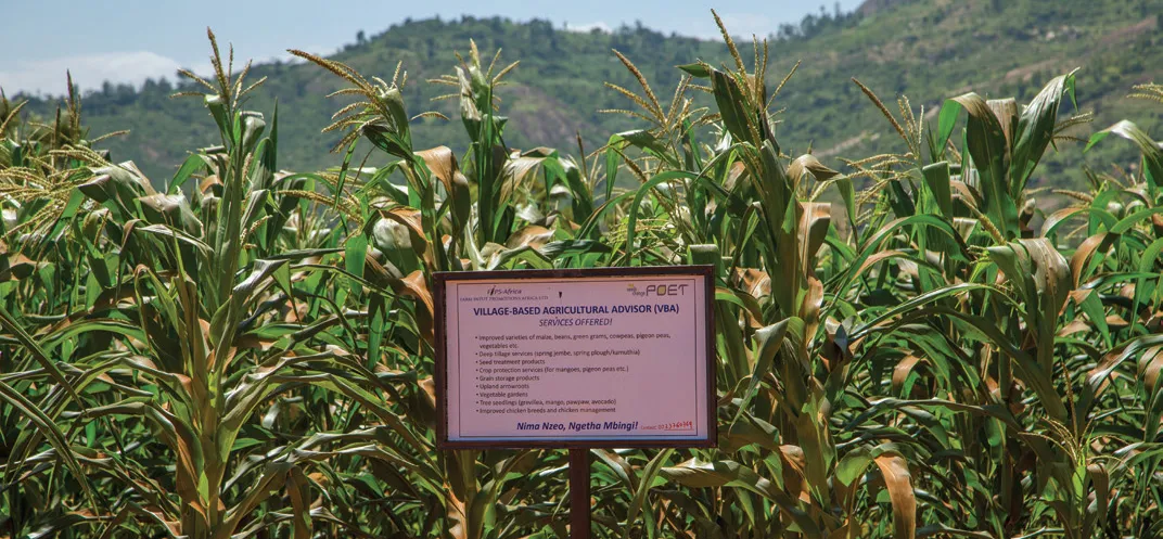  a sign describes the other agricultural services provided by Martin Kawei, the local village-based adviser.