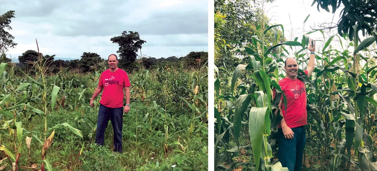 A man in a red shirt in a corn farm
